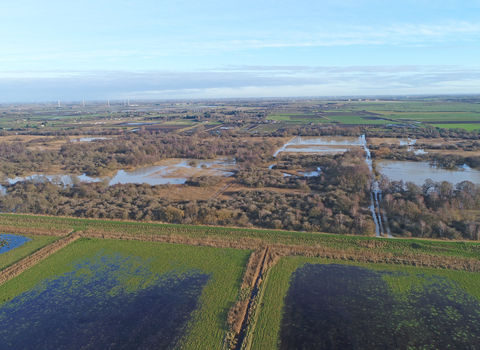 Great Fen -  C. Henry Stanier 