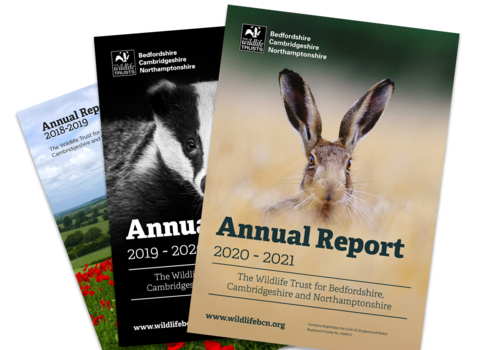 Annual Report covers