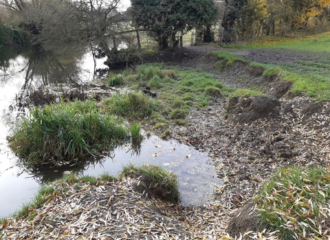 Grantchester Medows River Bank - Ruth Hawksley