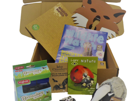 Children's Membership Gift Box - Blank background