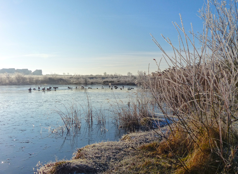 Frosty Cambourne in Jan 2019