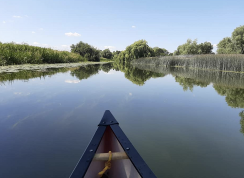 Nene canoe2 by Juliette Butler