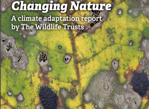 Changing Nature report