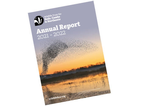 21-22 Annual Report Cover
