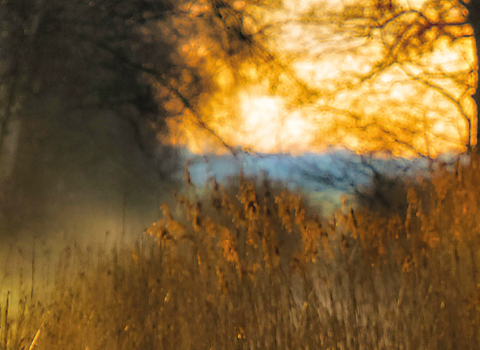 Great Fen Landmark Appeal Header