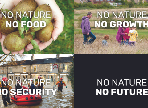 Defend Nature Postcards