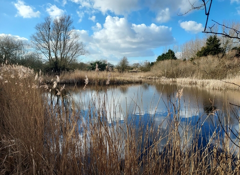 Ramsey Heights Great Fen pond