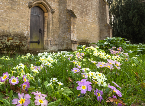 Sarah Lambert churchyard