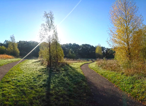 A winding path through Cambourne nature reserve