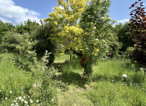 Muchwood green burials, Caroline Fitton