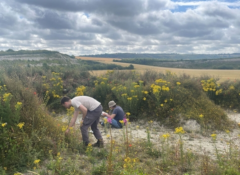 Butterfly banks vegetation survey, Matt Hayes