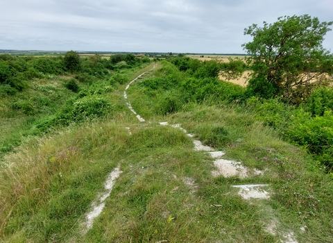 A view along the thin pathway at Fleam Dyke, surrounded by lush greenery, under a cloudy sky