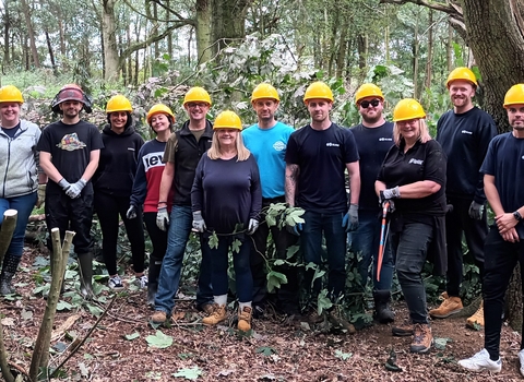 A group of people standing in a woodland area, wearing bright yellow safety hats, smiling at the camera