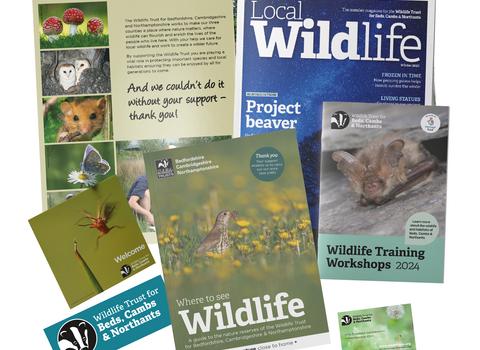 The contents of a membership pack, including a sticker, membership card, the Local Wildlife magazine, wildlife training workshop leaflet and a nature reserve guide
