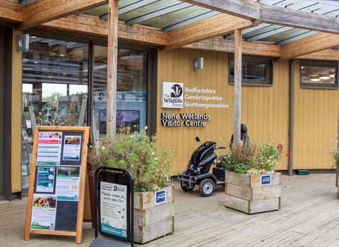 The front door to the Nene Wetlands visitor centre with wooden plant pots outside next to a couple notice boards and a mobility scooter