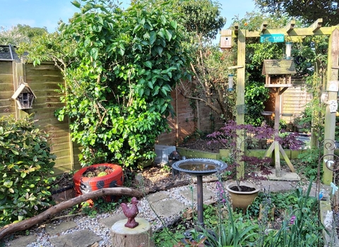 A wonderful wildlife garden with multiple bird feeders, bird baths and bird houses alongside planters, one made from a tyre.