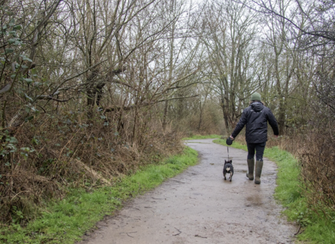 Dog on Lead2 by Holly Wilkinson