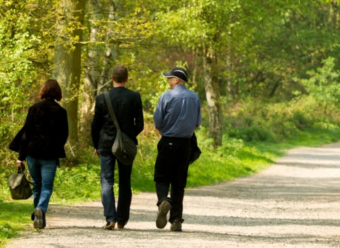 3 people dressed in corporate clothing walking on a pathway through woodland