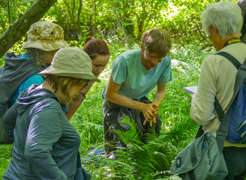 Group of people in a woodland discussing plants on a workshop