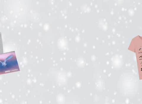 Christmas gifting website header 2024; adopt a beaver box, sustainable clothing, calendar