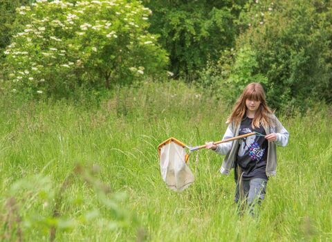Intro to Ecology Wildlife Training Workshop Ramsey Heights 4