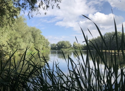 Summer Leys Nature Reserve