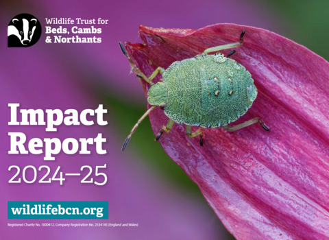 Impact Report 2024-25 front cover