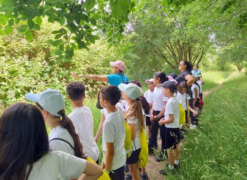 Bushmead Primary Site visti