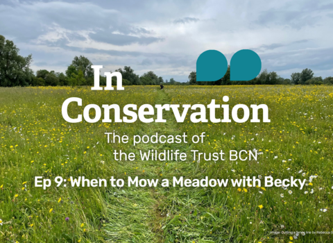 Ep 9: When to Mow a Meadow with Becky