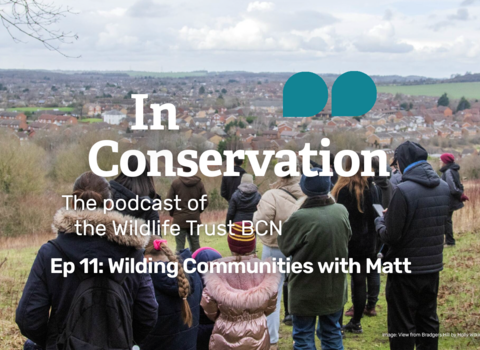 A group of people of mixed ages look out over Luton from a nature reserve atop a hill