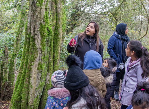 A woman refers to a tree, speaking to a group of children gathered around. 