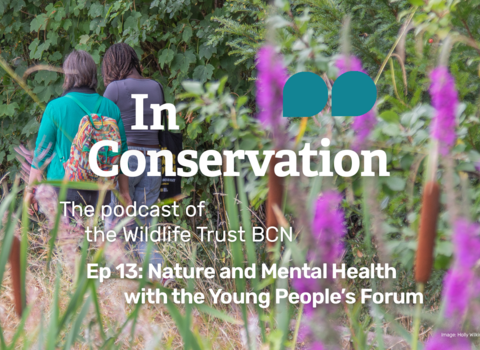In Conservation - episode 13