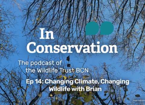 In Conservation, the podcast of the Wildlife Trust for Beds, Cambs and Northants episode 14