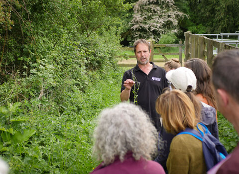 A group of people are being addressed by and shown a plant by a member of wildlife trust staff