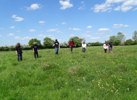 Seven youth rangers standing in a field on a sunny day counting orchids,