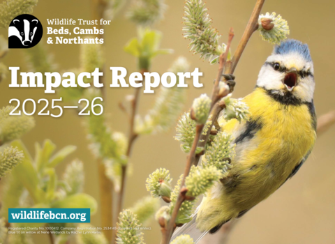 Impact Report cover 2025-26