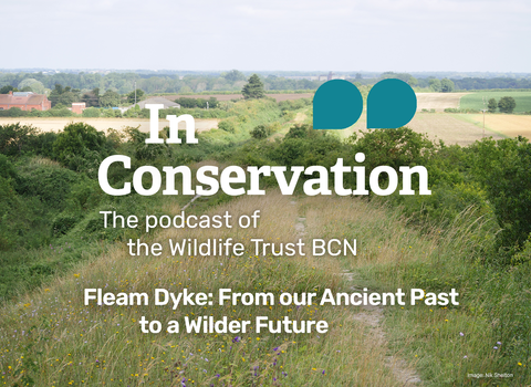 In Conservation, the podcast of the Wildlife Trust for Beds, Cambs and Northants.