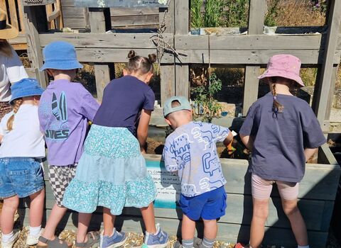 Group of children reaching over a planter