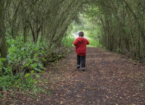 A child in a red jacket is running through a tree-lined  path