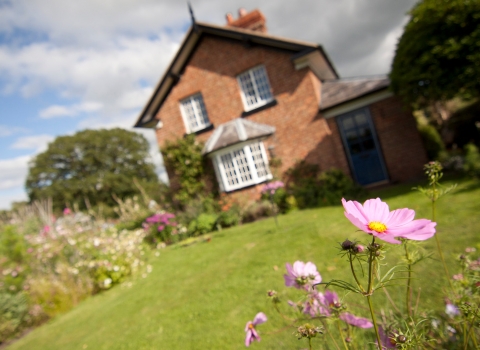 A wildlife garden with lawn and flowers