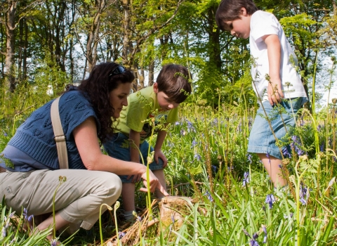 Image of family in a woodland