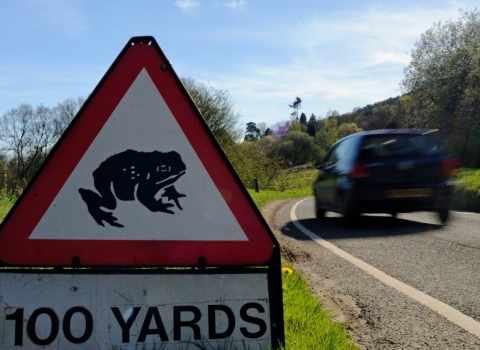 Toad crossing sign Linda Pitkin/2020VISION