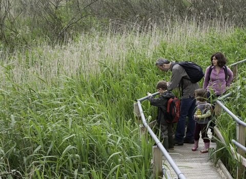 Family visiting a nature reserve