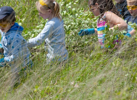 Children helping with ground clearance