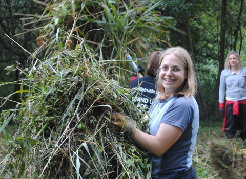 Volunteers on a reserve