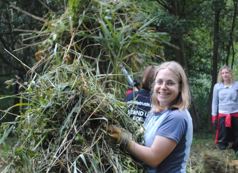 Reserve volunteers