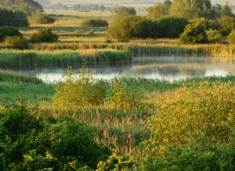 Wicken Fen, Cambridgeshire