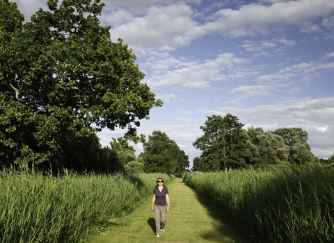 A person walking at Woodwalton Fen